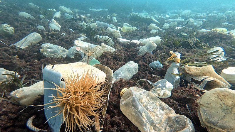Fotografija: Polja odpadne plastike povsem blizu, v hrvaškem morju. FOTO: Klara Ljubenko