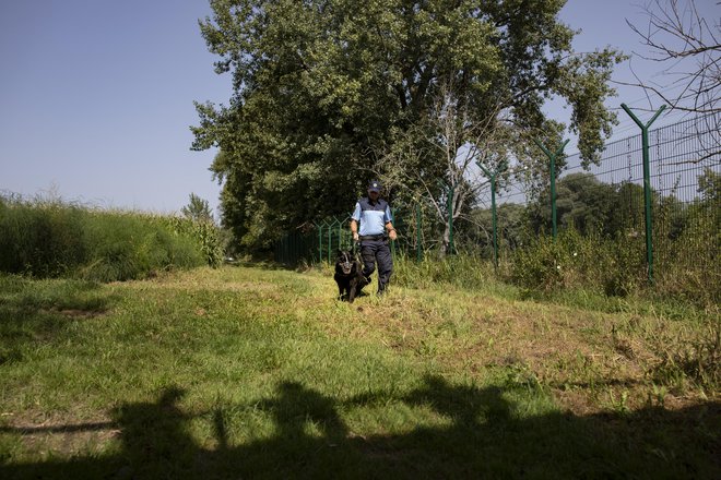 V vozilu, ki ga je menda vozil novinar, so bili štirje Pakistanci, ki so nezakonito prišli v Slovenijo. FOTO: Voranc Vogel/Delo