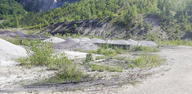 Devet milijonov kubičnih metrov pepela so v preteklosti odložili v Trbovljah, oblast ga želi še več. Foto Osebni arhiv J. P.