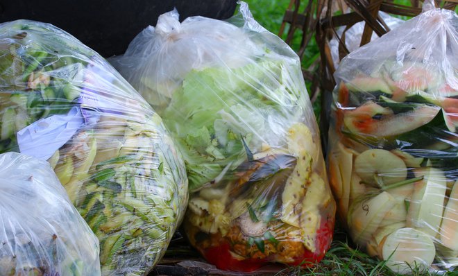 Lani je Komunala Idrija v Cerknem zbrala 71.449 kilogramov bioloških odpadkov. FOTO:: Shutterstock&nbsp;