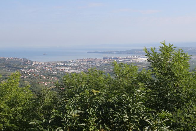 Občina je na dražbo umestila tudi zemljišča s pogledom na Koprski zaliv. FOTO: Tomi Lombar/Delo