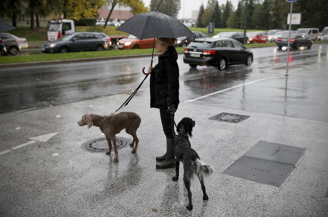 Suh in mrzel obisk na pokopališčih, potem pride toplejši in moker teden. FOTO: Blaž Samec/Delo