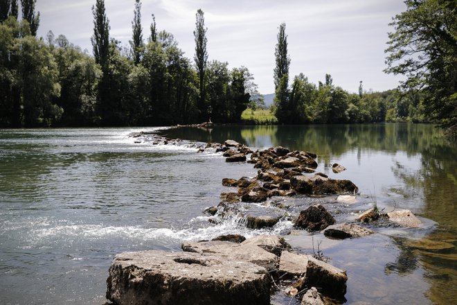 Levi breg mejne reke Kolpe, v Učakovcih. FOTO: Uroš Hočevar