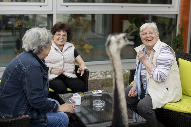 V domovih za starejše se lahko zgodi, da bodo zaradi pomanjkanja delavcev prisiljeni zmanjšati nastanitvene zmogljivosti. Foto Voranc Vogel