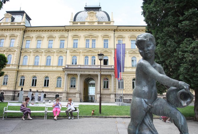 Senat mariborske univerze je potrdil ustanovitev centra za zaslužne profesorje, s katerim želi univerza odpravljati medgeneracijsko vrzel. Foto:Tadej Regent