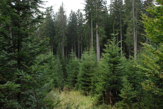 &raquo;SiDG poslovno stavbo potrebuje, saj dela v premajhnih, neustreznih in predragih najetih prostorih.&laquo; Foto Oste Bakal