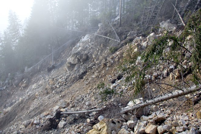 Fotografija je simbolična. FOTO: Boštjan Fon