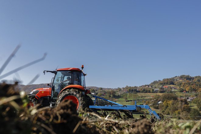 Denar, ki se zbere za kmetijstvo, bi moral biti ciljno namenjen za prakse, ki dejansko prispevajo k ohranjanju okolja oziroma narave, podpirati pa je treba manjše kmetije, ki izvajajo trajnostne prakse in skrbijo za območja z visoko naravno vrednostjo, v pismu pozivajo znanstveniki. FOTO: Uroš Hočevar