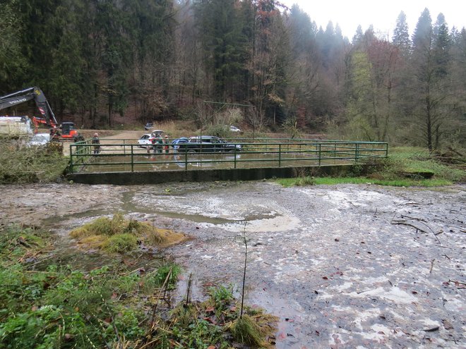 Iz prepolne lagune so se izcedne vode razlile in odtekale naravnost v bližnji potok. FOTO: Bojan Rajšek/Delo