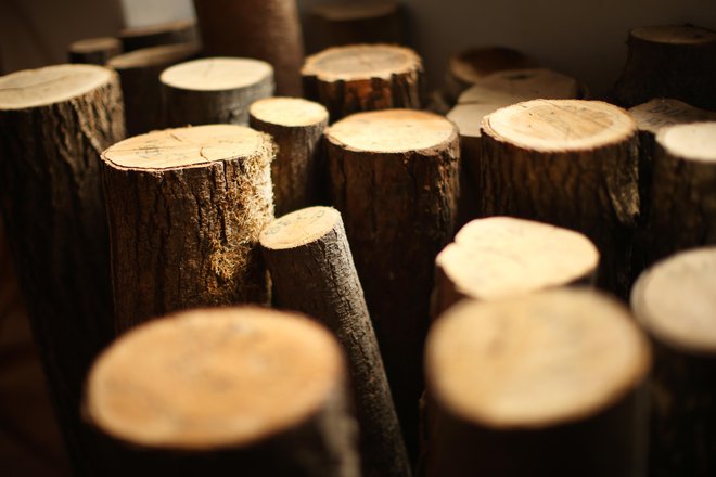 Kurjenje drv je najcenejše, a zahteva nekaj dela, poleg tega onesnažuje zrak. FOTO: Jure Eržen/Delo