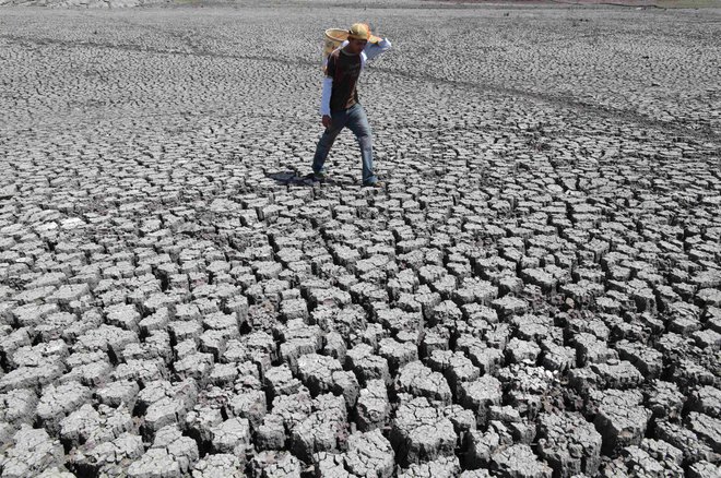 Po drugi strani vročina hitreje izsuši tla. FOTO: Reuters