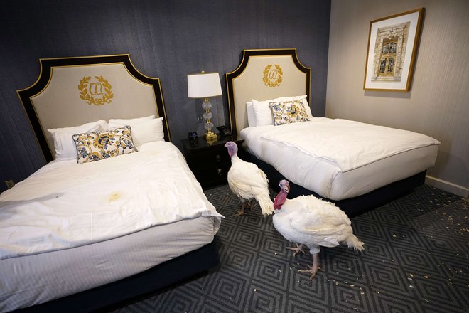Purana v elitnem washingtonskem hotelu. FOTO: Win Mcnamee/ AFP