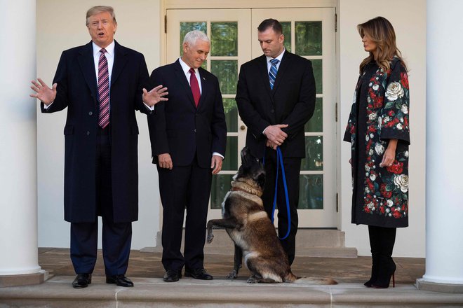 Ameriški predsedniški par Donald in Melania Trump ter podpredsednik Mike Pence z vojaškim psom Conanom. FOTO:&nbsp;Jim Watson Afp