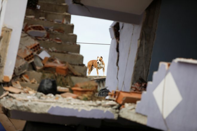 Na tisoče ljudi je moralo po potresu zapustiti svoje domove. Mnogi se bojijo vrniti domov, saj je bilo v Albaniji in širši regiji po torkovem potresu čutiti več kot 300 popotresnih sunkov. FOTO: Florion Goga/Reuters