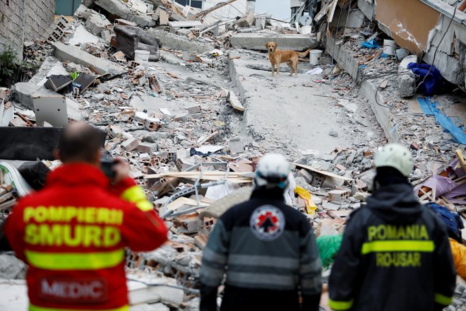 Morebitne preživele pod ruševinami iščejo z reševalnimi psi. FOTO: Florion Goga/Reuters