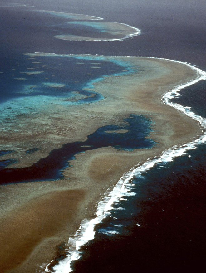 Strokovnjaki že dolgo opozarjajo, da je 2.300 kilimetrov dolgi Veliki koralni greben ogrožen. Ob podnebnih spremembah ga ogrožajo tudi turisti. Greben jih vsako leto obišče okoli pet milijonov. FOTO: Reuters