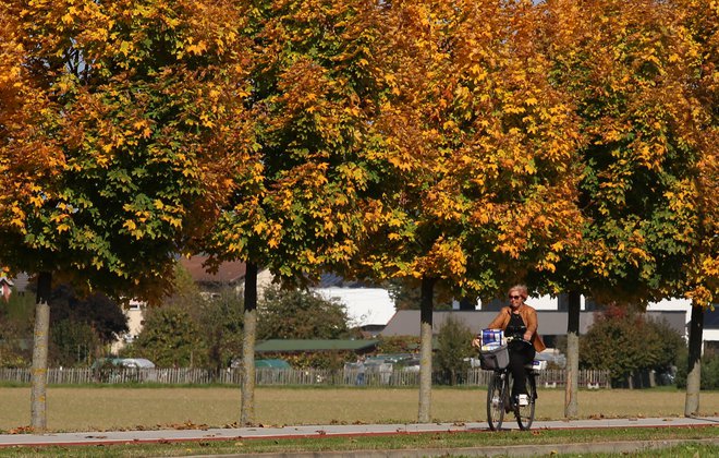 Jeseni in pozimi smo na našem geografskem območju odvisni predvsem od prehranskega vnosa vitamina D. Foto Tadej Regent