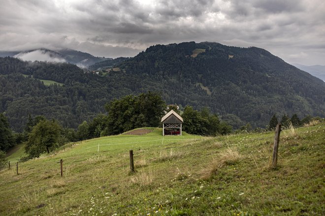 Zaščitne ograje za predalpski in alpski svet po Bergantovih besedah niso primerne. FOTO: Voranc Vogel/Delo