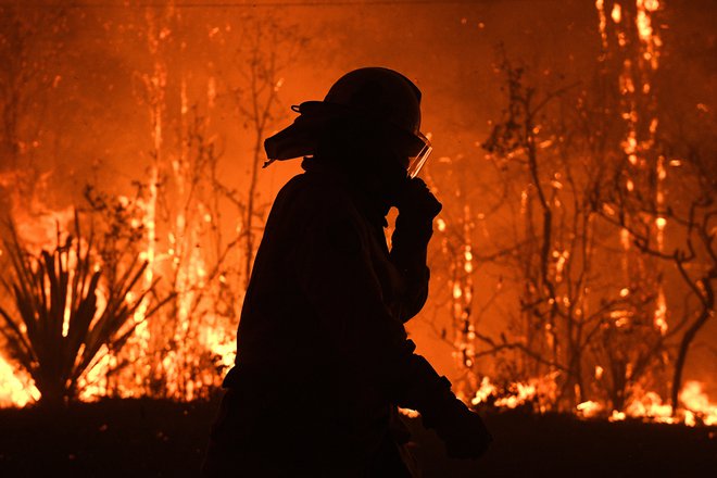 Gozdni požari v državi sicer niso redkost, ampak so po oceni znanstvenikov letos razmere precej hujše, kar bi lahko pripisali podnebnim spremembam. FOTO: Stringer/Reuters