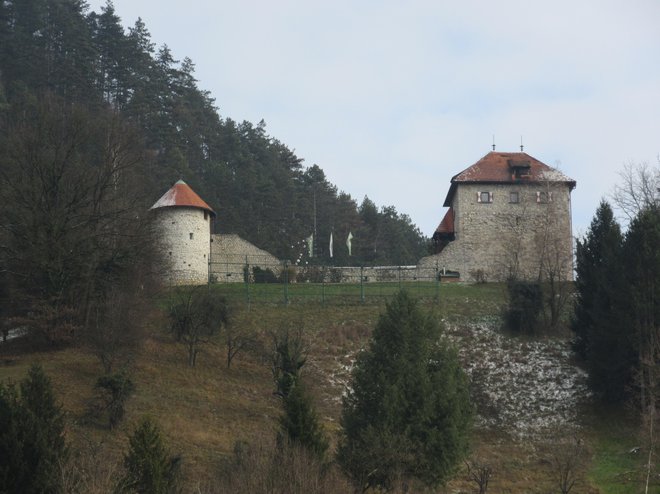 Grad Tabor nad Laškim je od letošnjega poletja v lasti državne DSU. FOTO: Špela Kuralt/Delo