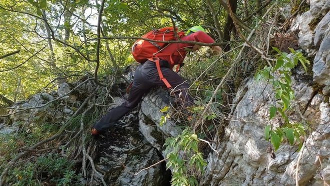 Petkova iskalna akcija policistov gorske policijske enote več policijskih uprav. FOTO: Slovenska policija