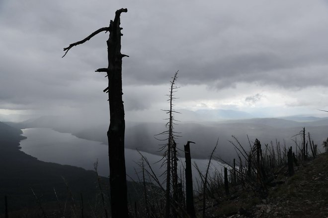 Doseganje ogljične nevtralnosti je eden ključnih ukrepov za preprečitev katastrofalnih dolgoročnih podnebnih sprememb. FOTO: AFP