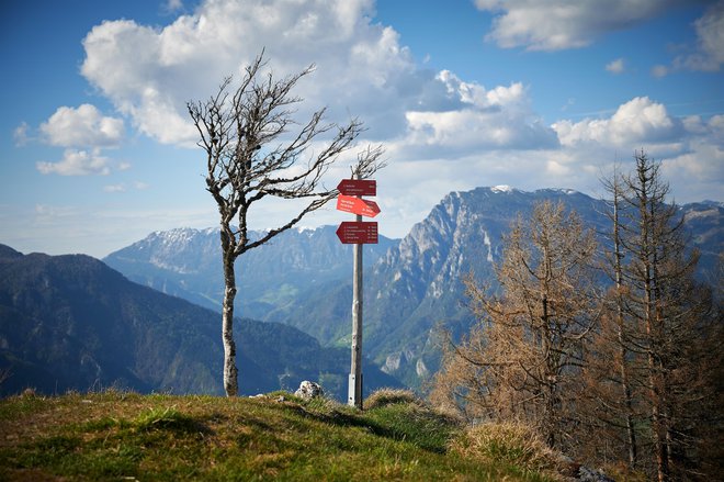 Ideja mreže, ki so jo pred enajstimi leti zasnovali v Avstrijski planinski zvezi, je, da bi združevali kraje v Alpah, ki so usmerjeni v gorski trajnostni turizem. Fotografija je s poti na vrh Rogatca. FOTO: Tomo Jeseničnik/visitsavinjska.com