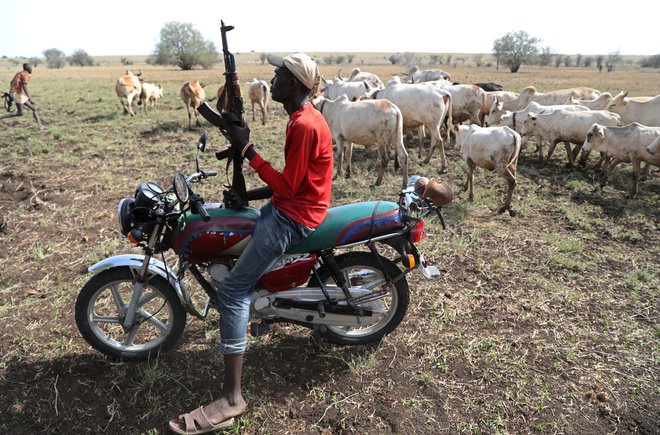 Bojevnik Turkana s puško na motorju ščiti govedo pred sovražnimi bojevniki. FOTO: Goran Tomasević/Reuters