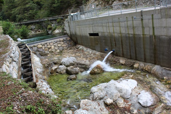 Mala hidroelektrarna Kneža, ki so jo pred kratkim zagnale Soške elektrarne, ne prekinja rečnega toka, ribam pa omogoča prehod jezu. FOTO: Blaž Močnik