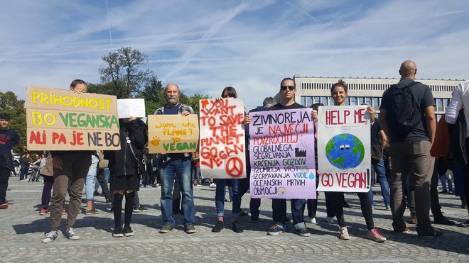 Živinoreja je eden glavnih vzrokov podnebnih sprememb, treba jo bo zmanjšati, pravijo v Slovenskem veganskem društvu. Foto Maja Prijatelj Videmšek