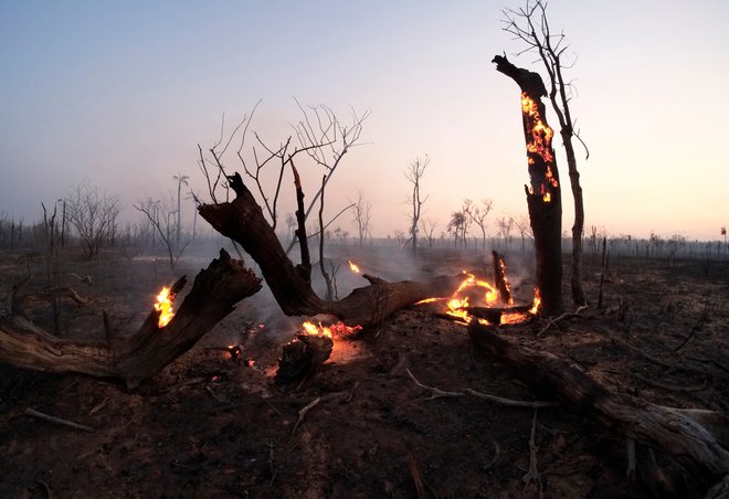 V Boliviji je gozdne požare pomagal pogasiti dež. FOTO: David Mercado/Reuters