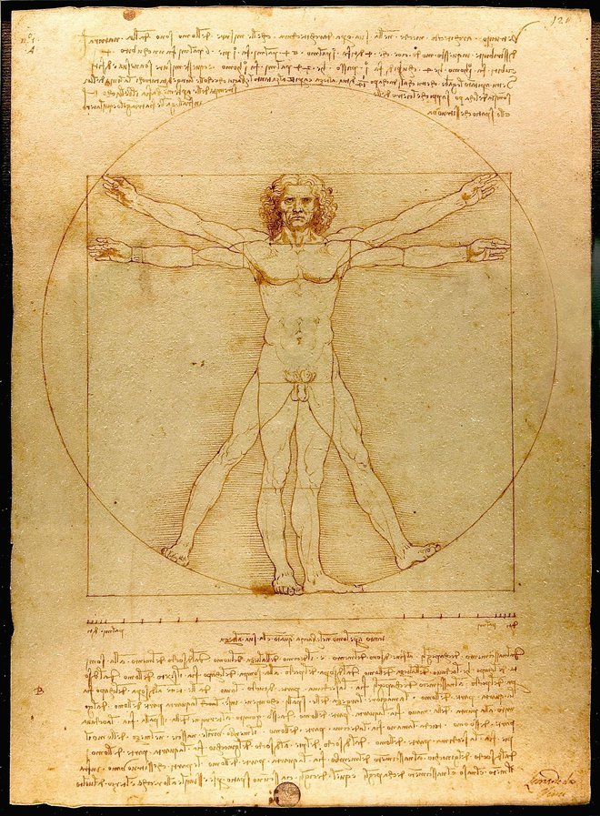 Lenardo da Vinci je risbo <em>Proporci človeškega telesa po Vitruviju</em>, znano kot <em>Vitruvijski človek</em>, ustvaril okoli leta 1490. FOTO: Wikipedia