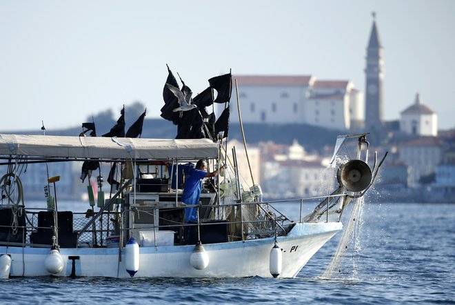 Na julijski ustni obravnavi so se sodniki veliko ukvarjali z domnevnimi hrvaškimi kršitvami ribiške politike EU. FOTO: Matej Družnik/Delo