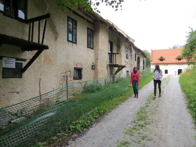 Gospodarsko poslopje zdaj kaže žalostno podobo, a ga nameravajo z zasebnim kapitalom temeljito prenoviti. FOTO: Bojan Rajšek