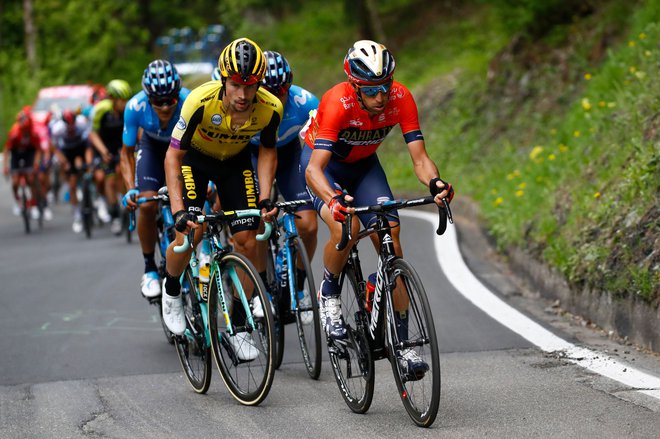 Primož Roglič (levo) in Vincenzo Nibali bosta na dirki po Lombardiji v središču pozornosti, kot sta bila na Giru. FOTO: AFP