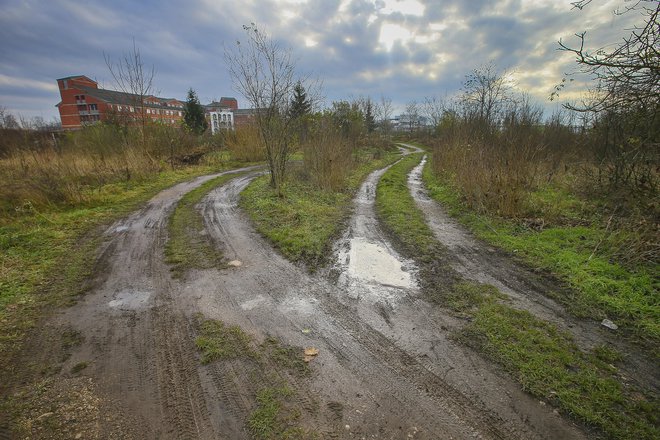 Javna dražba za zemljišča ob URI Soča bo 23. januarja. FOTO: Jože Suhadolnik/Delo