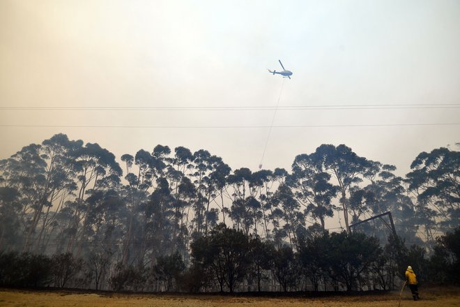 ​Vročinski val je še en opozorilni alarm glede globalnega segrevanja v Avstraliji. FOTO: Saeed Khan/Afp