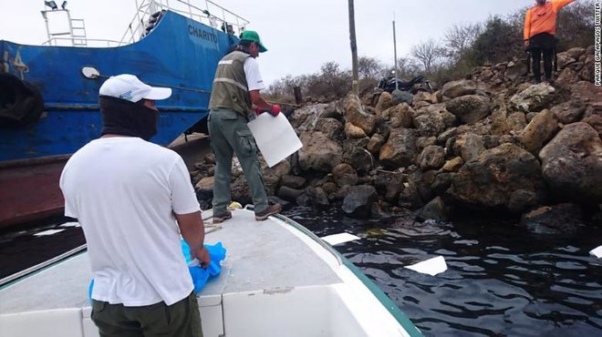 Uslužbenci galapagoškega naravnega parka se trudijo, da bi odstranili razlito nafto. FOTO: Park Galapagos /twitter