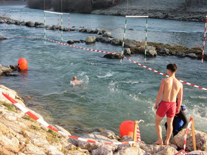 Eden za drugim so odhajali v mrzlo reko, tokrat je bilo plavalcev največ doslej. FOTO: Špela Kuralt/Delo