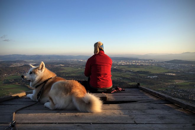 Ustreznemu avtomehaniku zaupamo avto in svoje telo vsaj tako premišljeno. Foto: Jure Eržen