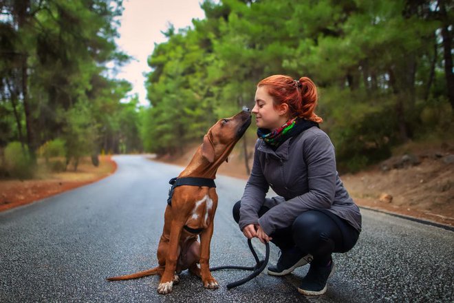 Pes nam je lahko v pomoč pri ponovnem spoznavanju naravnih zakonitosti, ki smo jih v okolju polnem drugih dražljajev pozabili ali prezrli. FOTO: Shutterstock