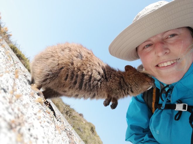 Rottnest island, Avstralija. Foto Špela Sedej