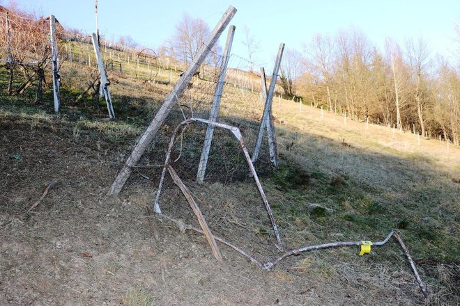 V ponedeljek so policisti zunaj naselja Vrh pri Boštanju med vinogradi našli mesto detonacije neznane eksplozivne naprave. FOTO: PU Novo mesto