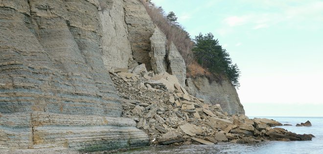 Tako se je podrlo več sto kubičnih metrov fliša in skal v Mesečevem zalivu oziroma Zalivu Sv. Križa. FOTO: Boris Šuligoj