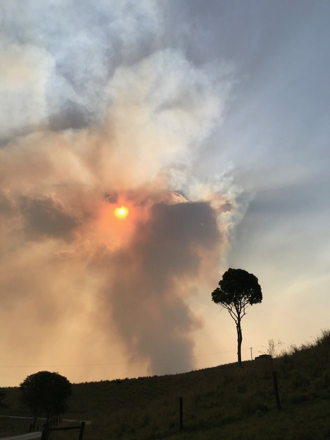 Požar v bližini doma Jaka Adamiča FOTO: Jaka Adamič