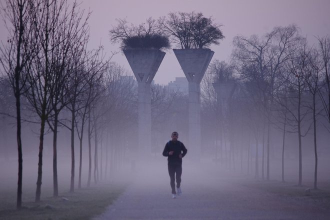 Magnezija ni med prehranskimi dodatki, priporočljivimi za športnike, poudarja Nada Rotovnik Kozjek. FOTO: Grega Kališnik