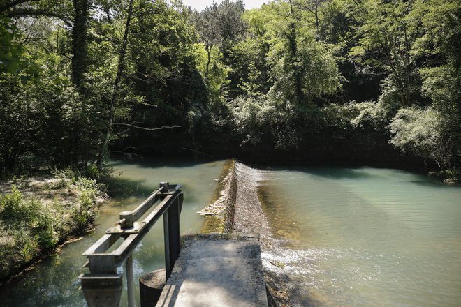 Kerozin ni prišel do izvira Rižane in zajetja, voda je varna. FOTO: Uroš Hočevar/Delo