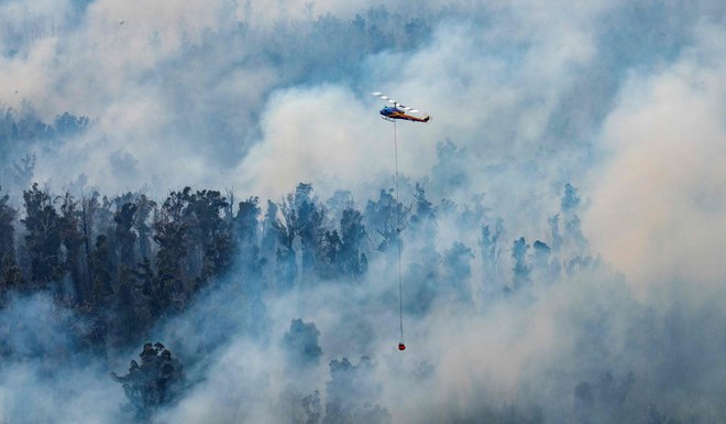 Požari v Avstraliji so &raquo;premiera&laquo; pred katastrofami, ki bodo nova normalnost segrevajočega se planeta. FOTO: AFP