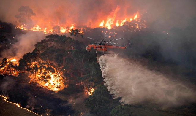 Požari v Victorii. FOTO: AFP