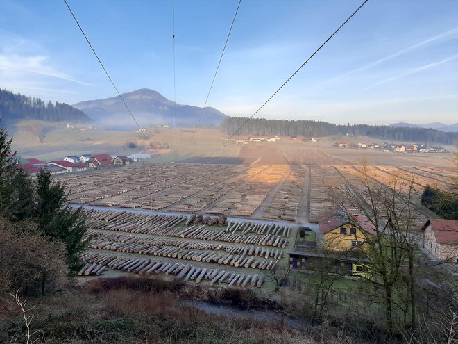 Najboljše iz slovenskih gozdov v objemu vasi Podgorje pri Slovenj Gradcu. FOTO: Mateja Kotnik